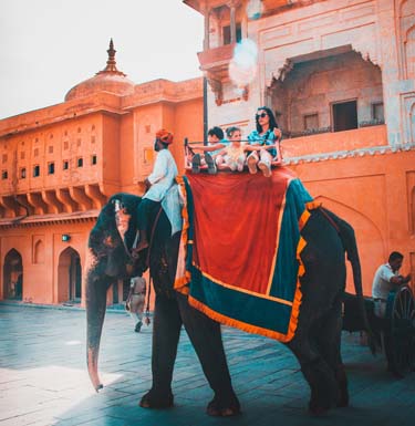 Camel Ride Jaipur